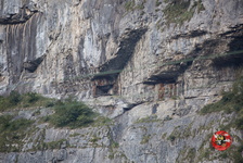 IMG 4945