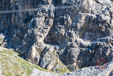 IMG 6153 Albula