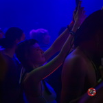  MG 0116 Technivore VIII