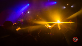  MG 0531 Technivore VIII