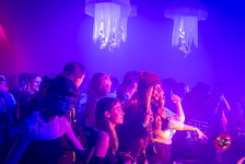  MG 0648 Technivore VIII