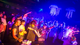  MG 0783 Technivore VIII