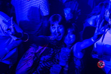  MG 1193 Technivore VIII