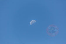 IMG 7818 PC7