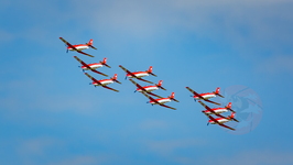 IMG 7850 PC7