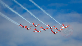 IMG 7882 PC7