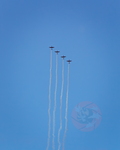 IMG 8359 PC7