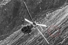 IMG 5312 Axalp-2017