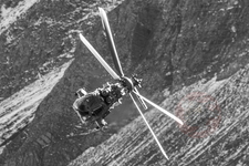 IMG 5314 Axalp-2017