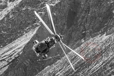 IMG 5315 Axalp-2017