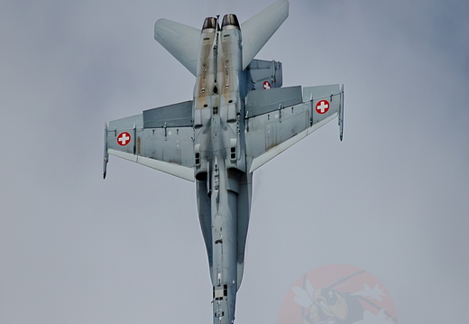 Swiss hornet display team 