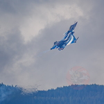 IMG 3265 BSA Rafale
