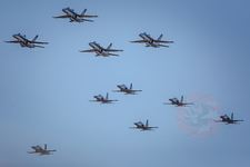 IMG 5968 Axalp-2017