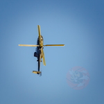 IMG 6124 Axalp-2017