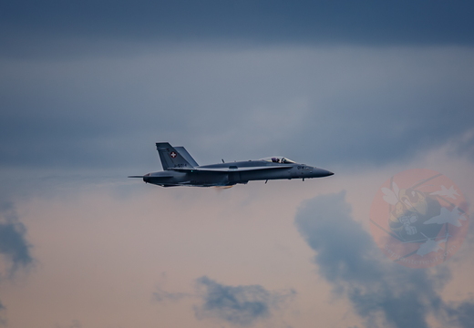 Swiss hornet display team 