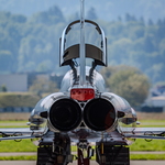 IMG 9506 F5 Tiger