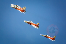 IMG 6466 Patrouille suisse Morat