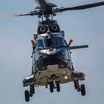 IMG 9631 Super Puma Display
