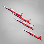 IMG 7690 Patrouille Suisse Spiez