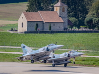 IMG 7256 Epervier 2019
