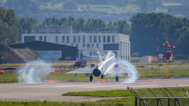 IMG 7500 Epervier 2019