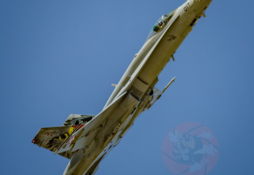 Swiss hornet display team 