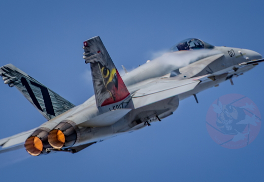 Swiss hornet display team 