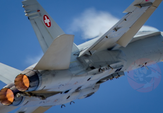Swiss hornet display team 