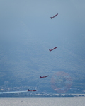  MG 2918 PC7 Team Montreux