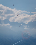  MG 2928 PC7 Team Montreux