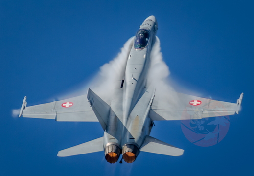 Parents day Payerne (CH), October 1st