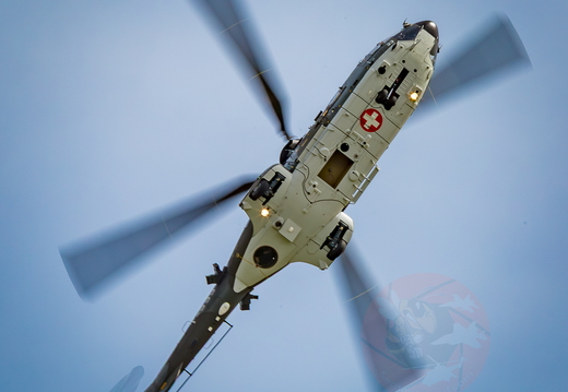 Super Puma display team