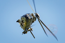  MG 0129 Super Puma Gstaad
