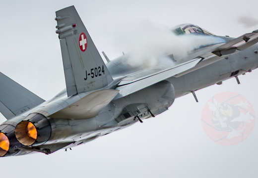 Swiss hornet display team 