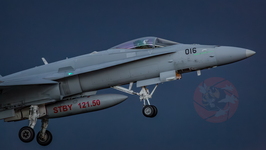 MG 7068 nocturnes Payerne