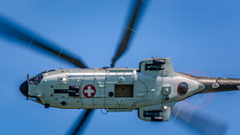 IMG 2613 Super Puma display