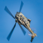 IMG 2725 Super Puma display