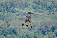 IMG 2849 Super Puma display