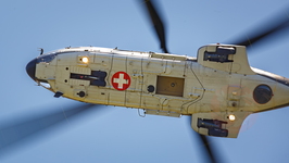  MG 0038 Super Puma Lossy