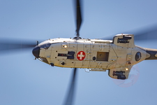  MG 0055 Super Puma Lossy