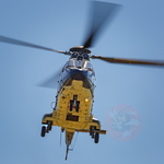  MG 0121 Super Puma Lossy