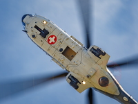  MG 0141 Super Puma Lossy