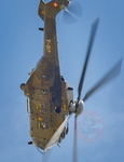  MG 0156 Super Puma Lossy