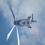  MG 0213 Super Puma Lossy