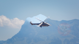  MG 0256 Super Puma Lossy