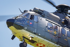  MG 0284 Super Puma Lossy