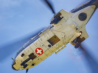  MG 0372 Super Puma Lossy