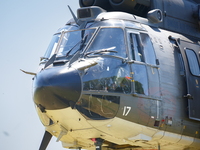  MG 0422 Super Puma Lossy