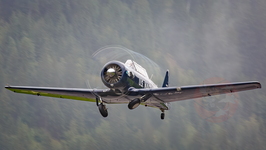  MG 0279 hunterfest 2022