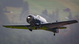  MG 0285 hunterfest 2022